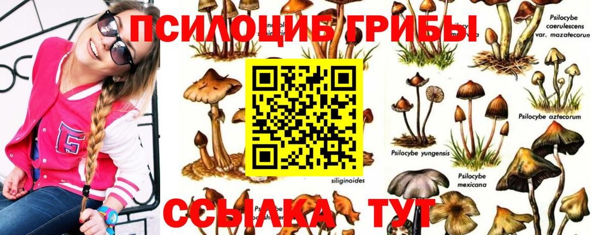 Углич  Галлюциногенные грибы GOLDEN TEACHER  Вход с VPN 