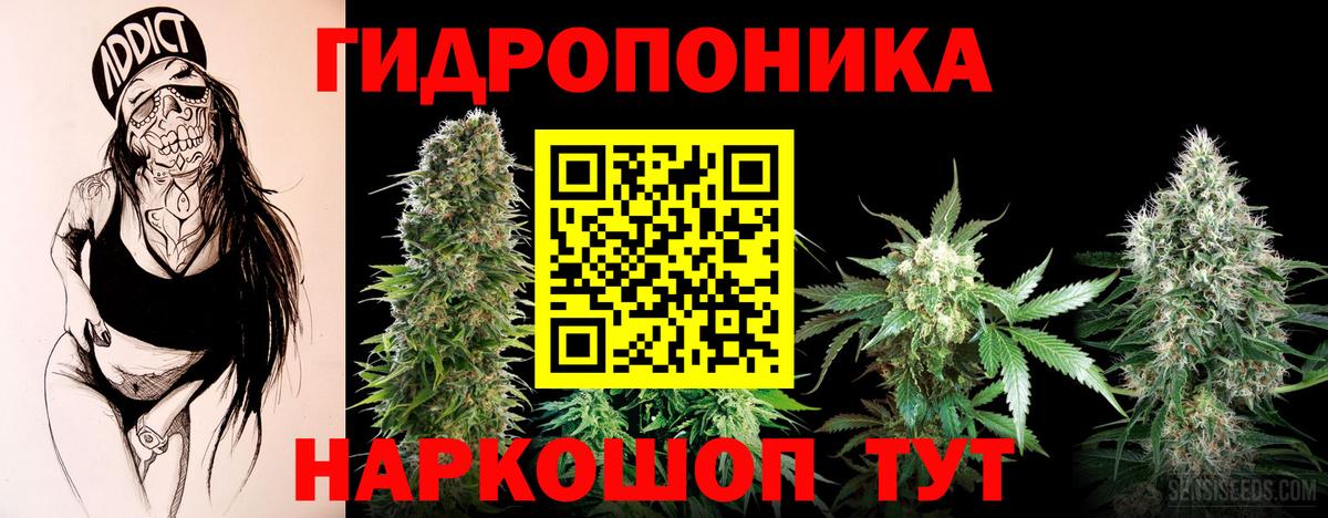 Канабис SATIVA & INDICA  Канабис MAZAR  Шишки марихуана семена  Углич  Вход с VPN 